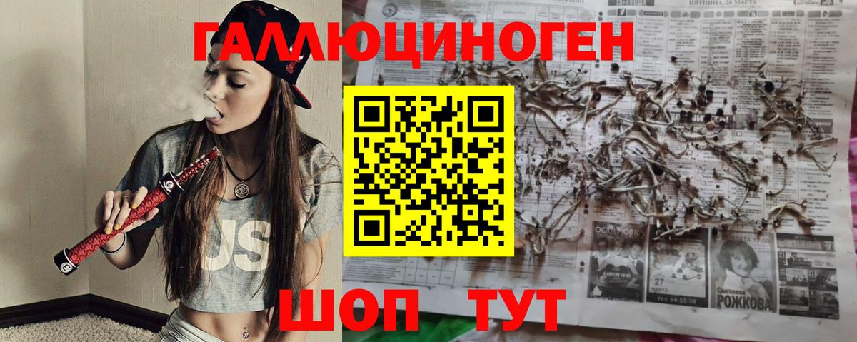 Семёнов  Псилоцибиновые грибы Psilocybe  Вход с VPN 