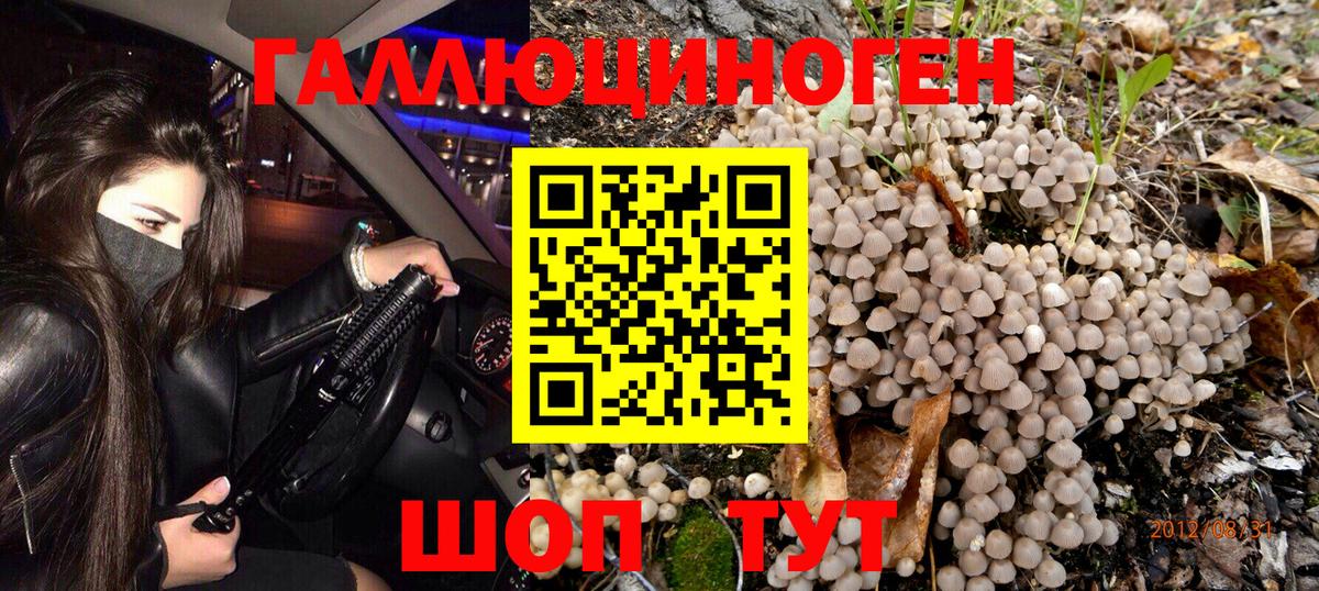 Галлюциногенные грибы GOLDEN TEACHER Семёнов
